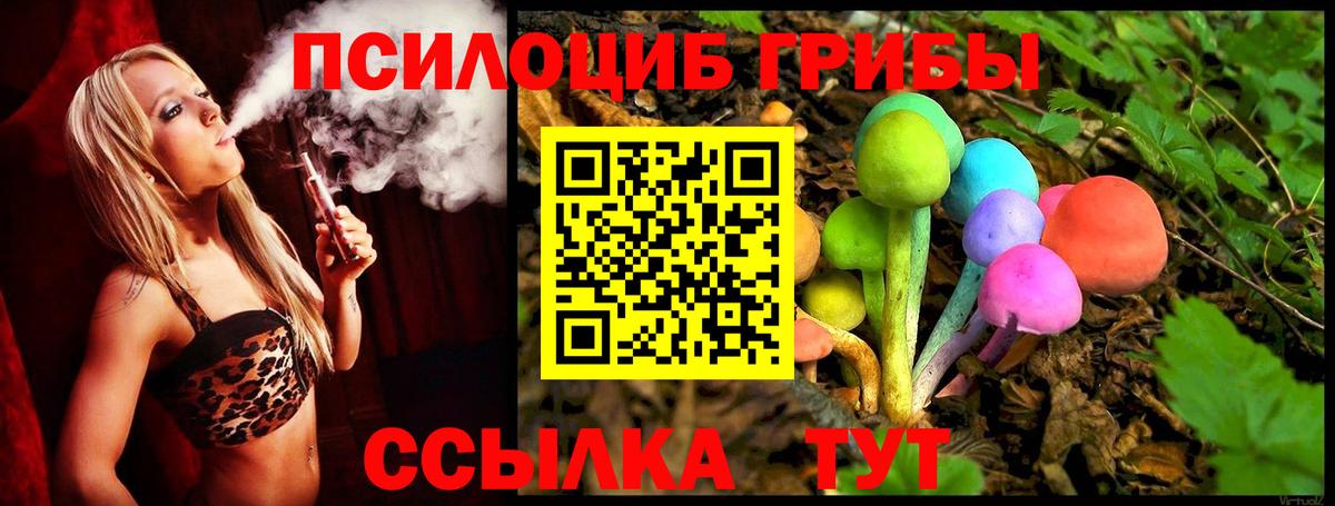 цена   Псилоцибиновые грибы ЛСД  Вход с VPN  Архангельск  Галлюциногенные грибы MAGIC MUSHROOMS 